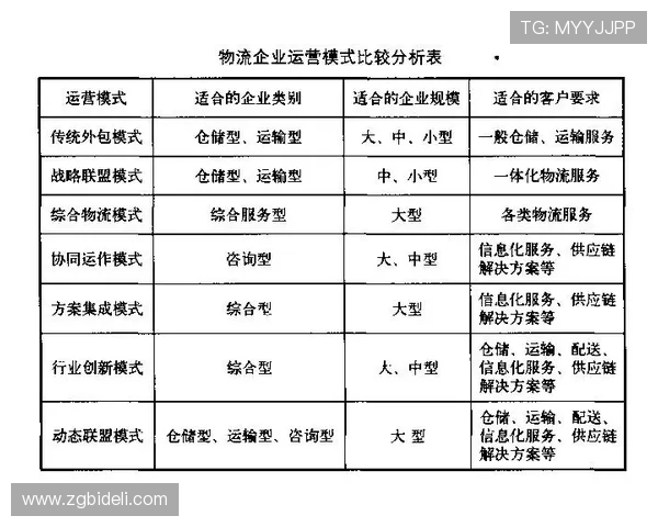 武汉排球队的战术创新与运营体系分析探讨